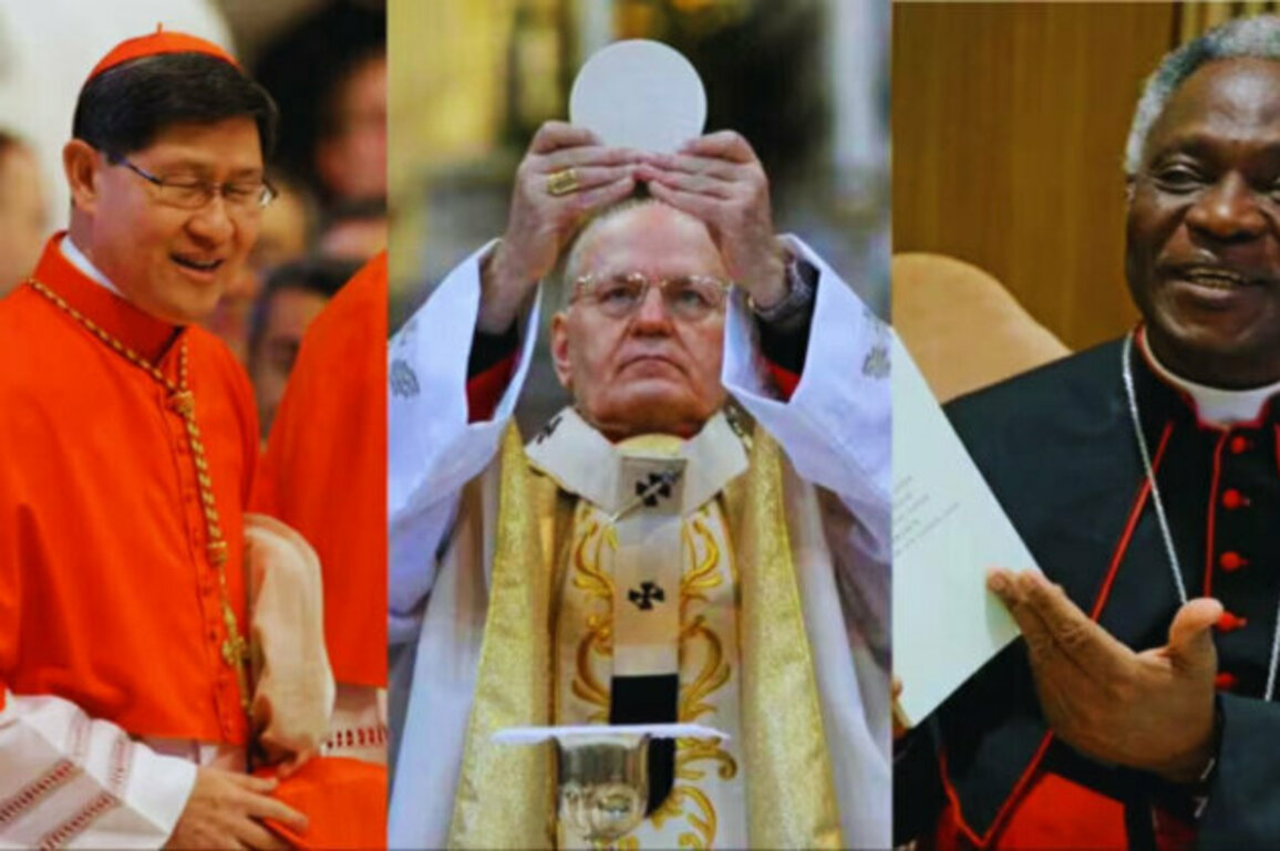 Papal Contenders: Key Figures in the Race to Succeed Pope Francis