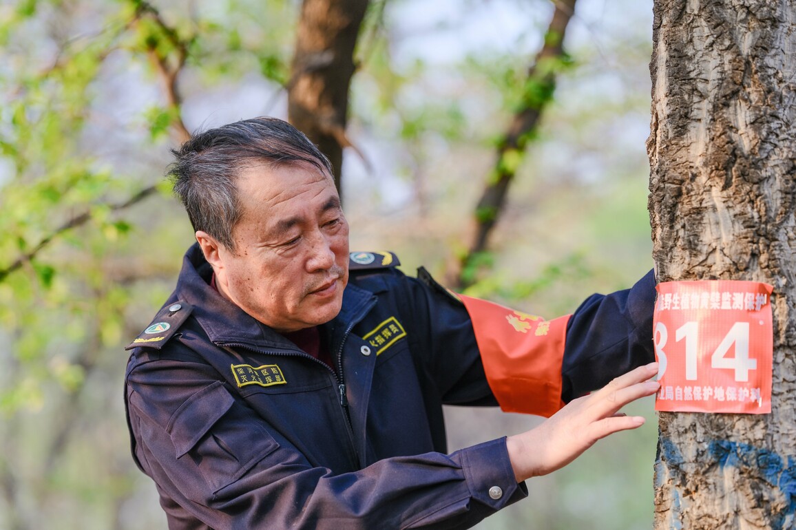 ChineseToday | Forest rangers protect biodiversity in Greater Khingan Mountains