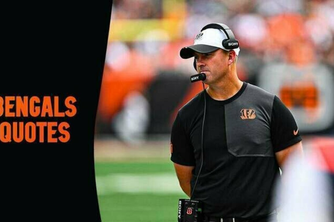 Everything the Bengals Said after Preseason Week 3 against the Colts