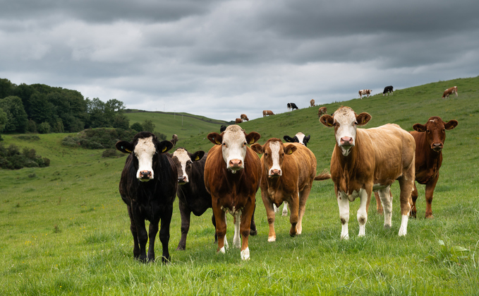 Study: Scottish farmers facing barriers to taking part in agri-environment schemes