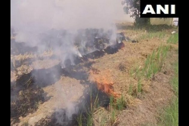 Stubble burning continues in Amritsar despite ban