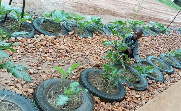 Abayizi basobola okusomesebwa nga balimira mu bipiira Abayizi basobola okusomesebwa nga balimira mu bipiira