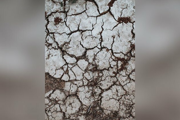 Study reveals rampaging strength of flash droughts