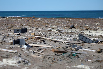 EU-India to jointly find solutions to marine pollution, waste to green hydrogen