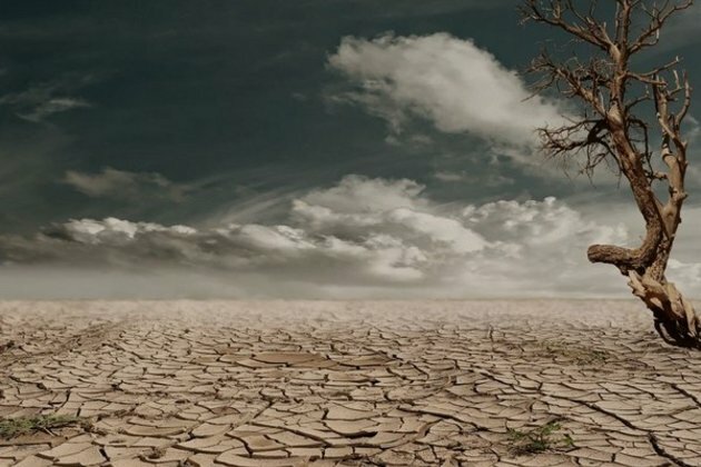 Summer droughts in 2022 have become extremely likely due to climate change