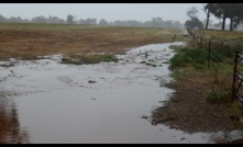  The NFF says it is working with NSW Farmers and the government to help with recent flooding. Picture Mark Saunders.