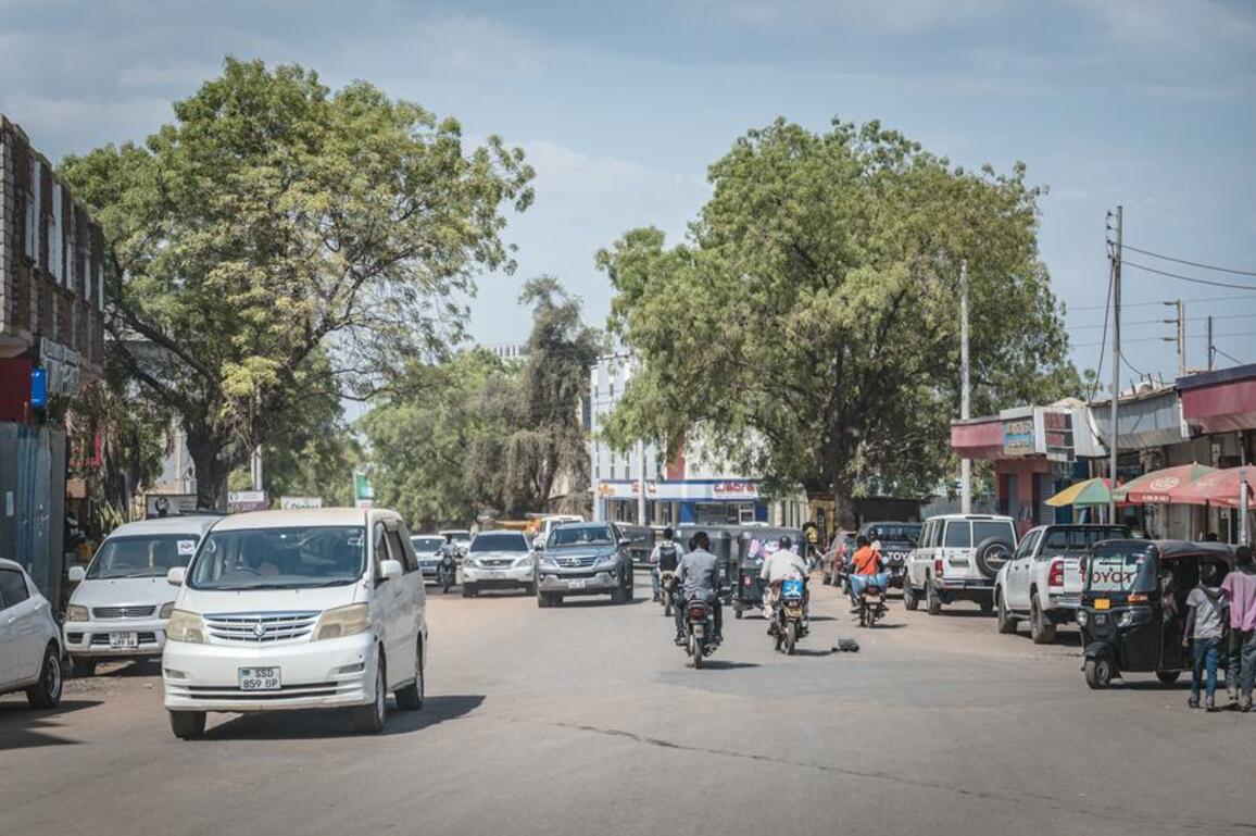 South Sudan's opposition reaffirms commitment to peace amid Machar's house arrest