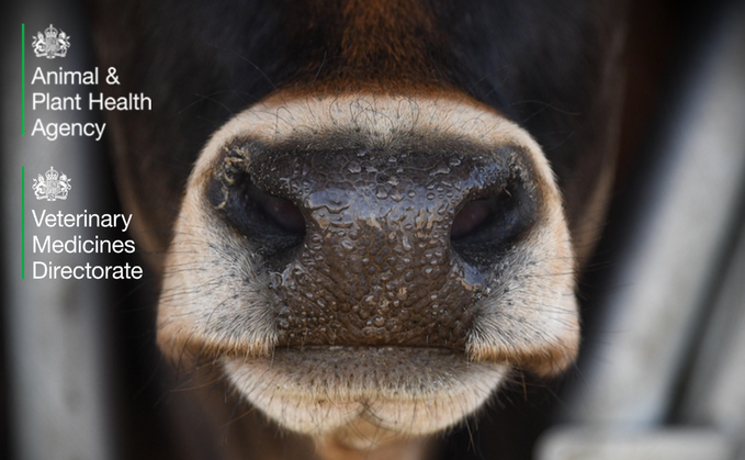 Partner Insight: Sharpening our focus on AMR in livestock: the Private Laboratories Initiative