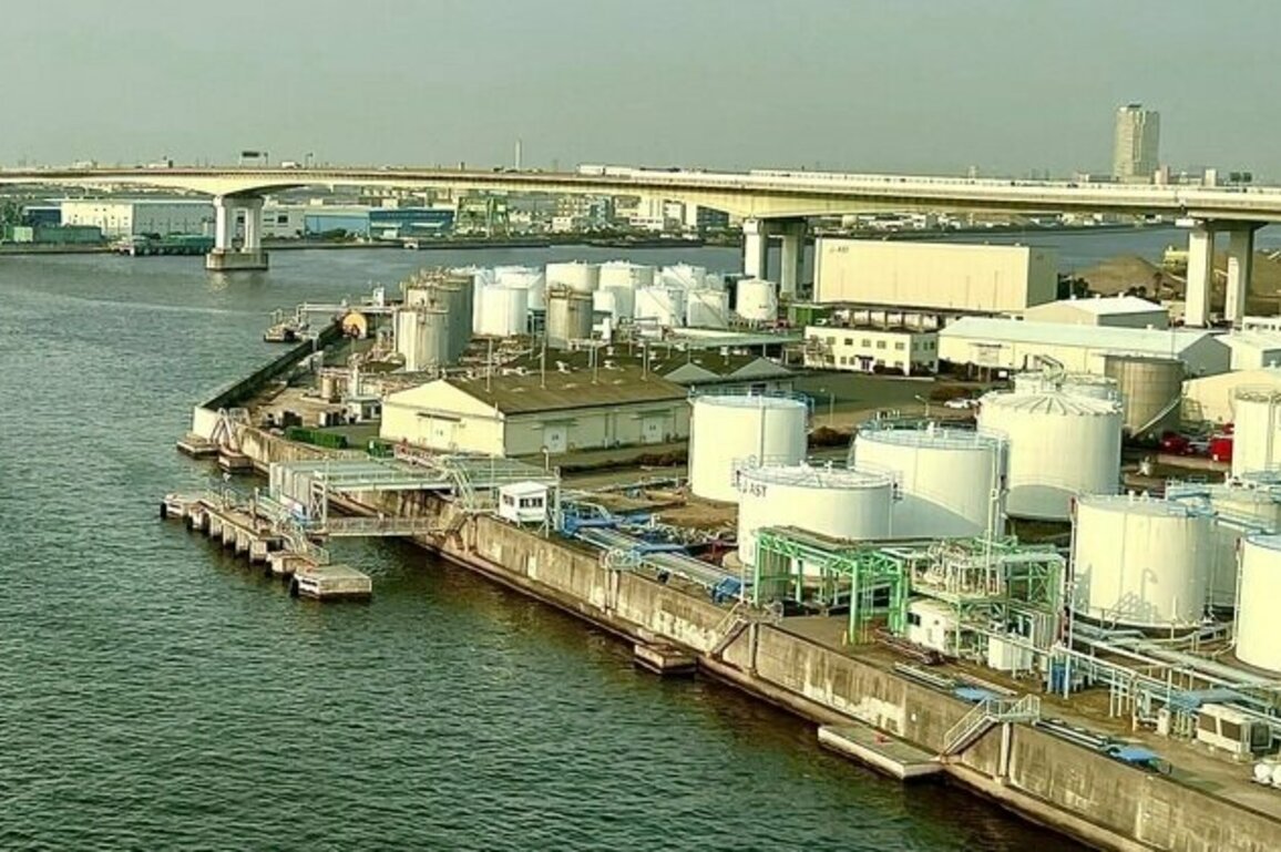 UAE supplies Japan with 38.4% of oil imports in February 2025