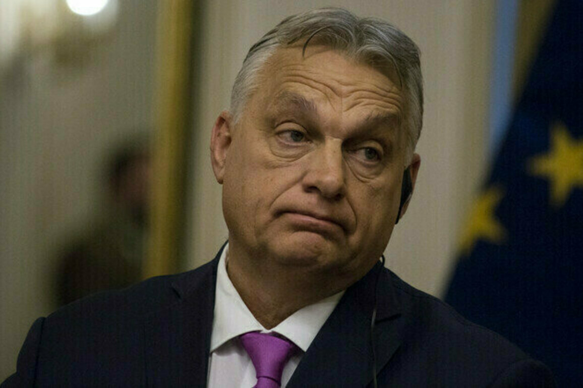 EU could make member states pay for Ukraine  Orban