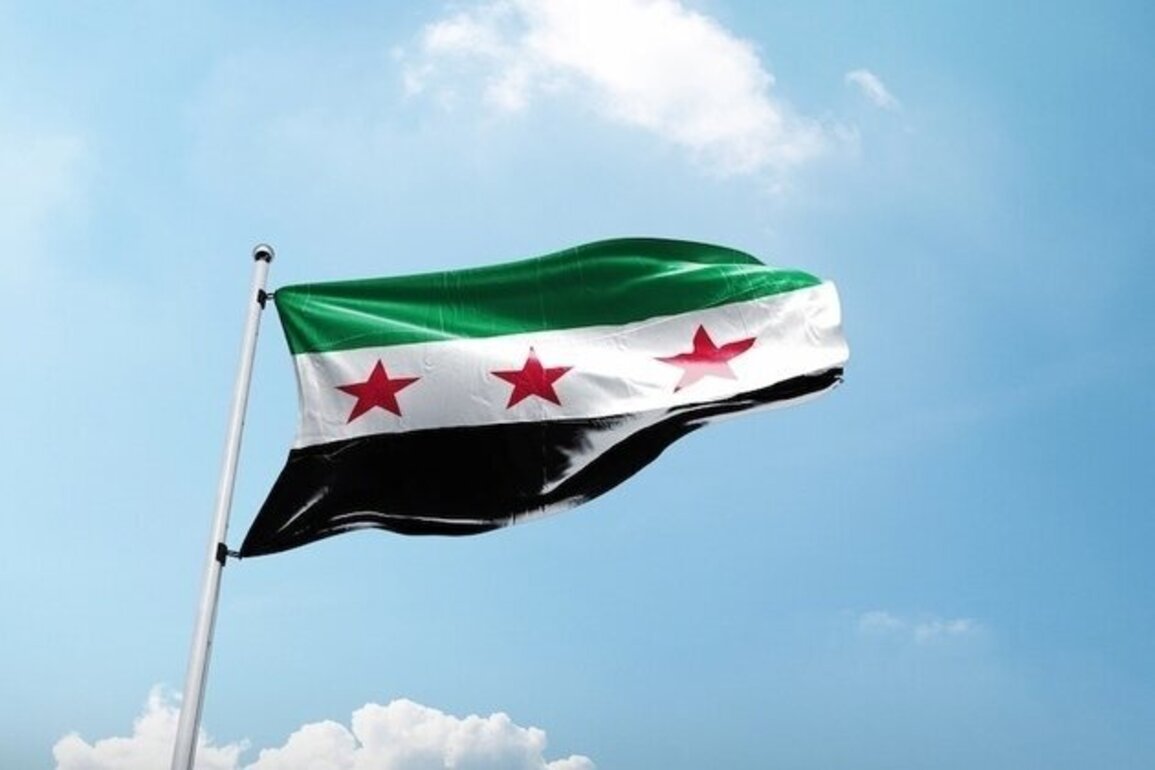 Opinion  The Neo-Ottoman Conquest of Damascus: One Year Later