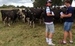 Kiwi dairy farmers to call Australia home