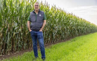 Early maize harvest likely as crops forge ahead