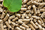 Biomass outsells heat pumps