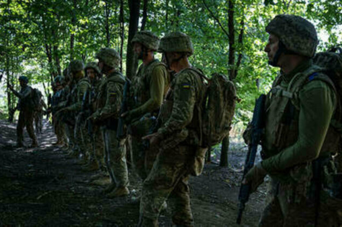 Ukraine facing army funding gap - budget boss