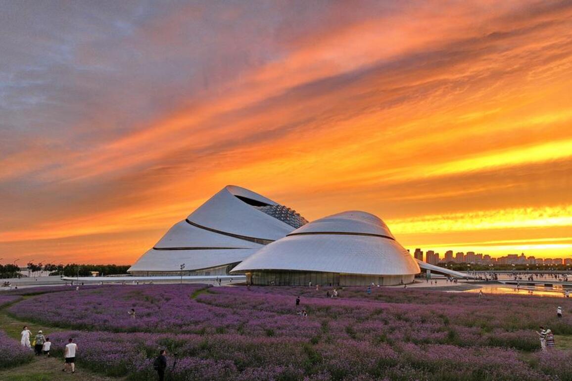 Culture | Summer tourism booms in NE China's Harbin