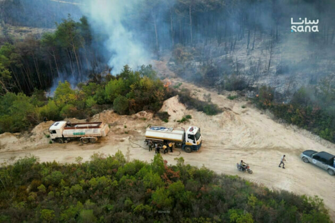 Civil defense battles massive blaze in northern Lattakia