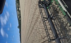 Partner Insight: How data sharing cut nitrogen use and added £8,000 a year at Bottom Farm