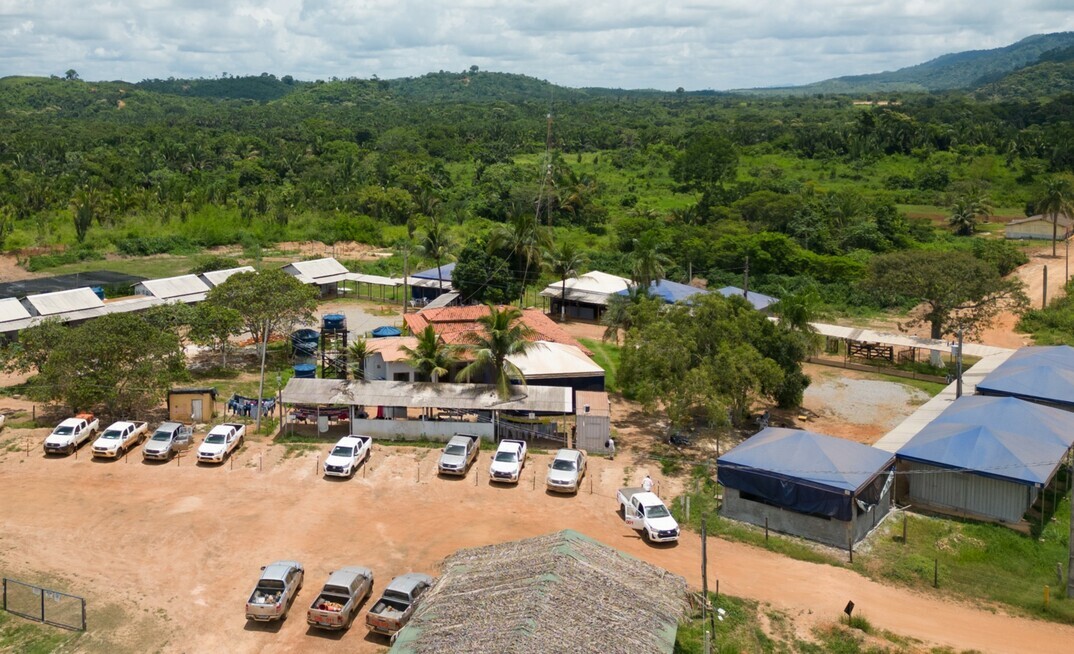 Projeto de níquel Jaguar