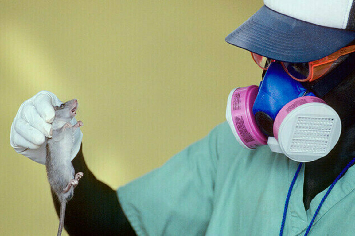Deadly fever outbreak claims over 150 lives in African country