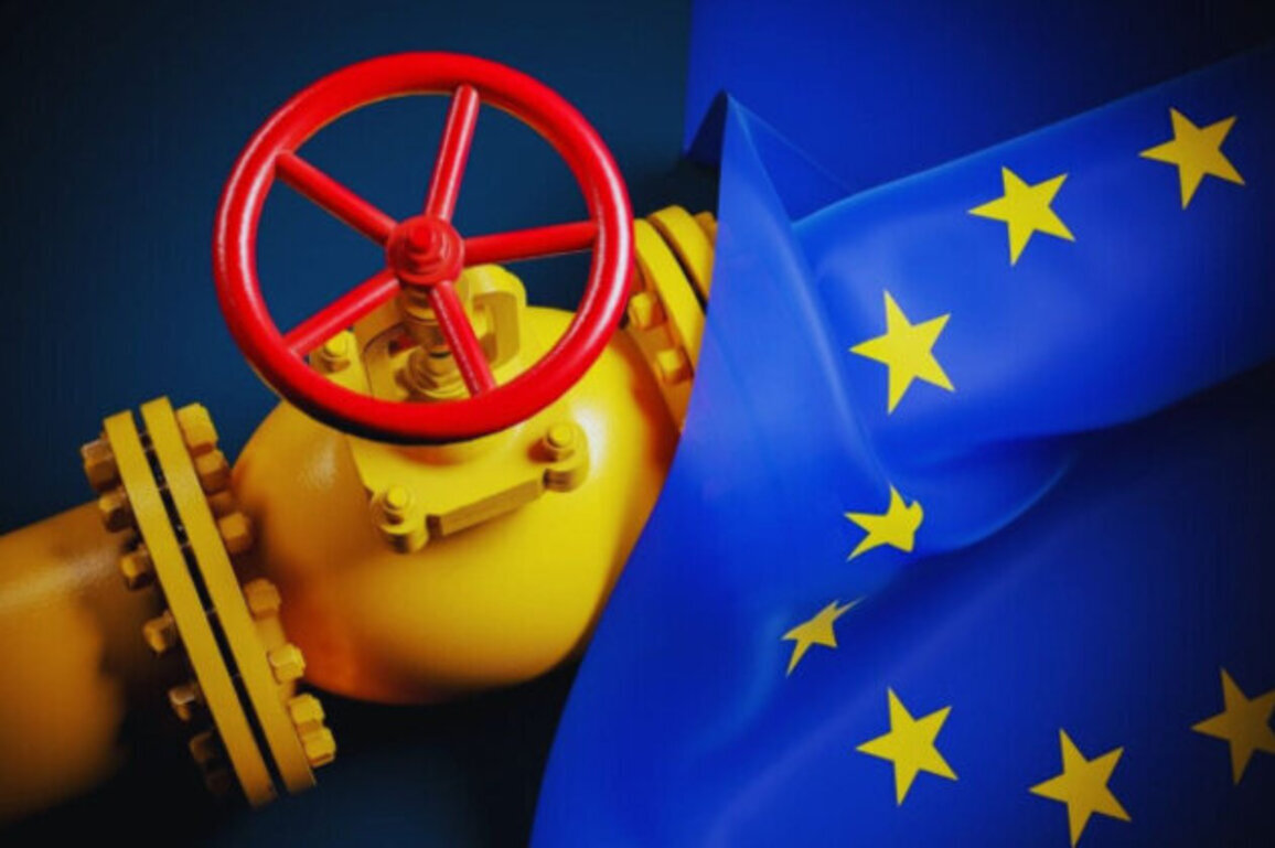 European Gas Prices Post Sharpest Single-Day Drop Since 2023