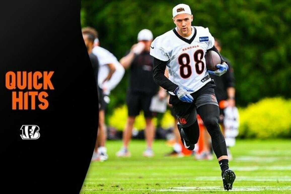 Mike Gesicki Springs Into Second Bengals Season | QUICK HITS
