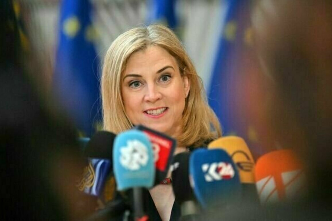 Austria confirms bombing of Iranian nuclear facilities 'dramatic step', calls for political solution