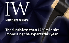 Hidden gems: The funds less than £250m in size impressing the experts this year