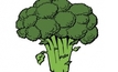 Humble broccoli pinged as next super food