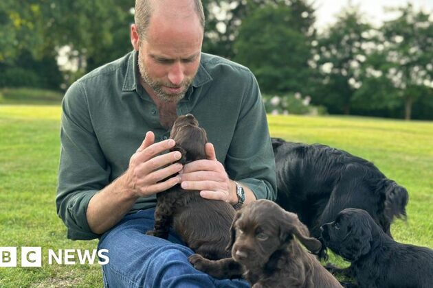 Prince William celebrates 43rd birthday with puppy photo