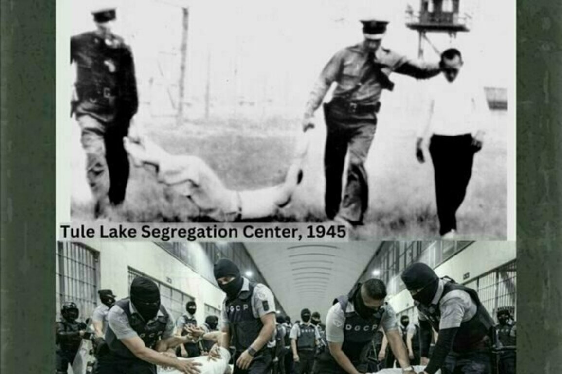 From Tule Lake to the Border: The Enduring Violence of the Alien Enemies Act