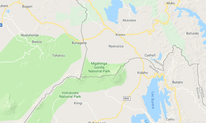 Suspected poacher killed in Mgahinga National Park Suspected poacher killed in Mgahinga National Park