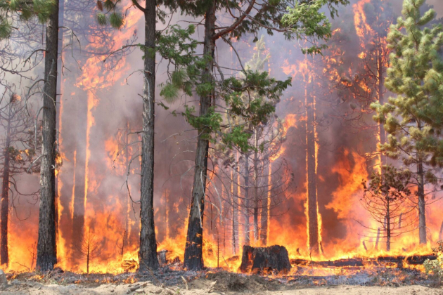 Wildfires in North and South Carolina fueled by Hurricane Helene