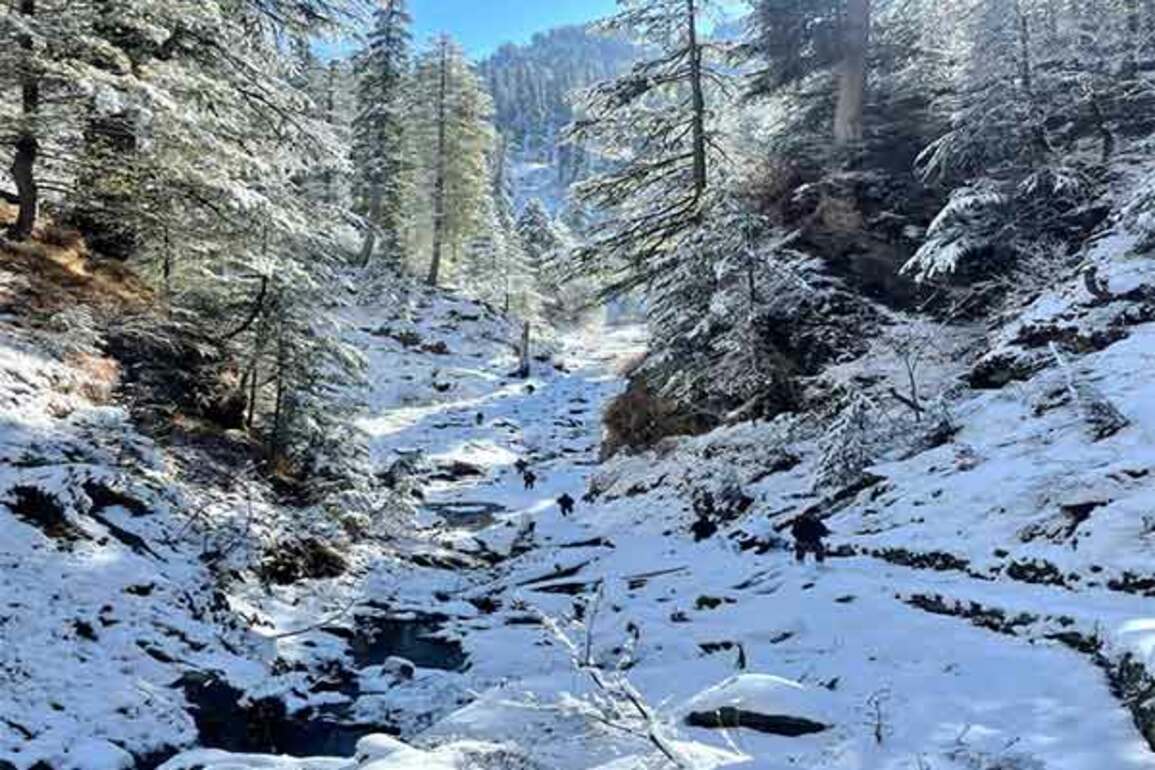 J-K: Terrorist eliminated in Kishtwar forest firefight, operation continues