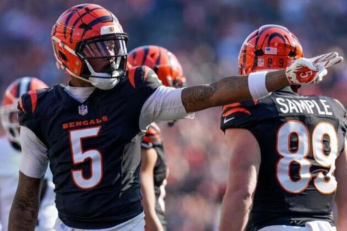 Bengals WR Tee Higgins added to Pro Bowl roster