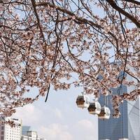China's hospitality sector upgrade mirrors broader service industry transformation