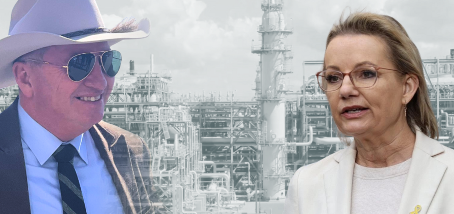 Barnaby Joyce is causing party leader Sussan Ley a headache