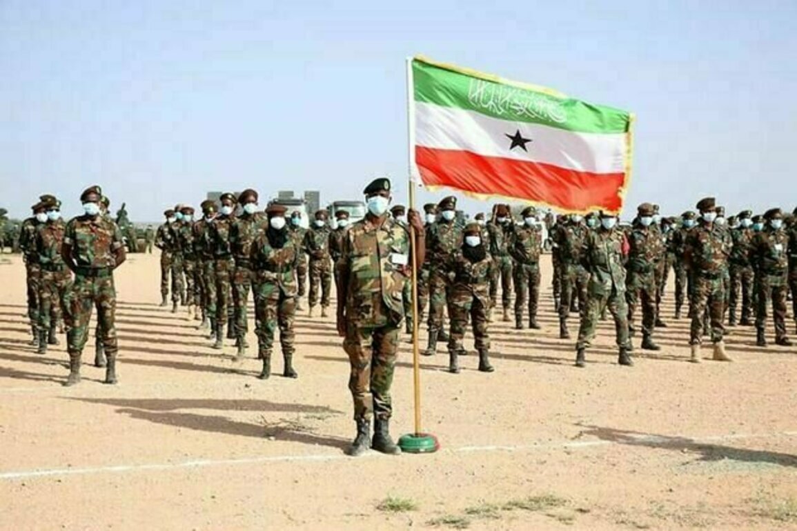 Somaliland's 30-year quest for recognition: could US interests make the difference?