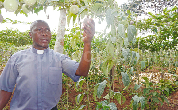 Fr. Kimbugwe ng’ali mu nnimiro y’obutunda bw’alima ku kigo. Fr. Kimbugwe ng’ali mu nnimiro y’obutunda bw’alima ku kigo.
