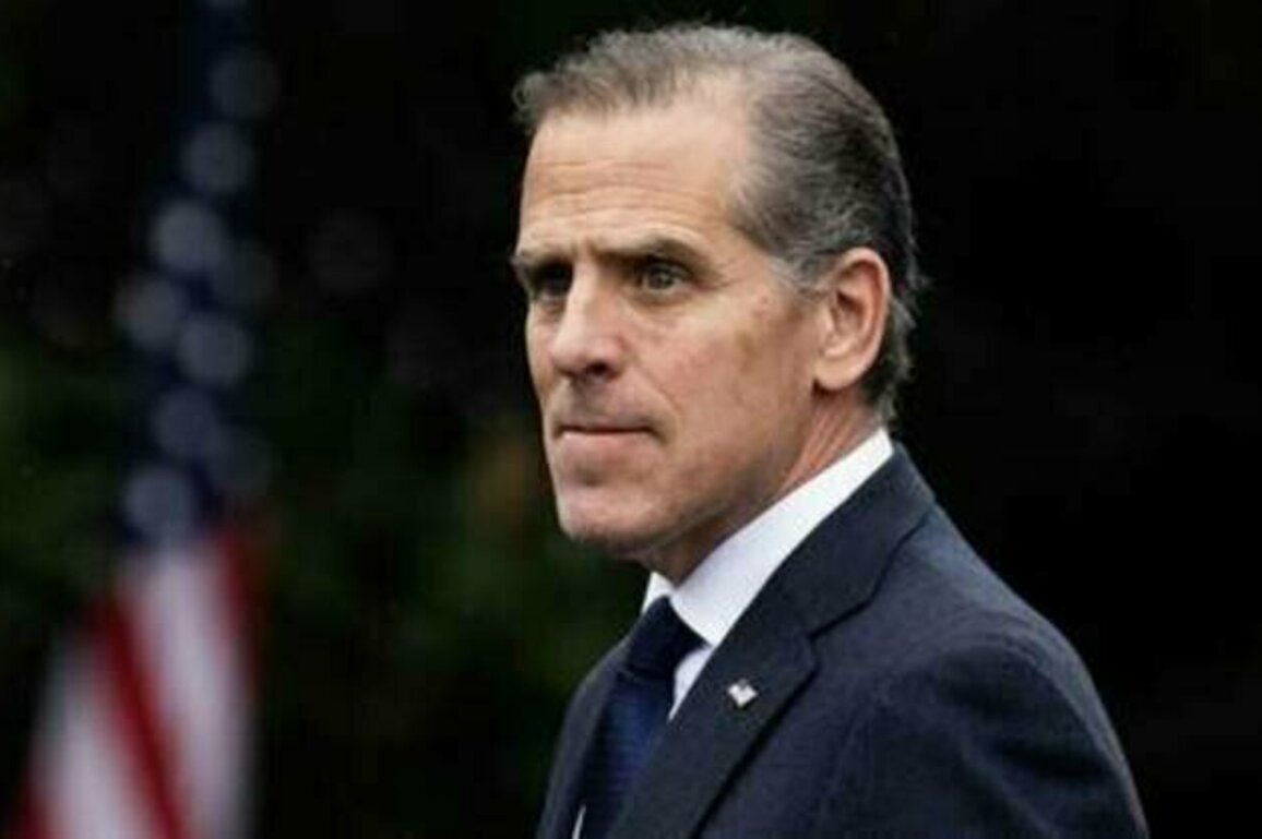 Hunter Biden says he'd invade El Salvador