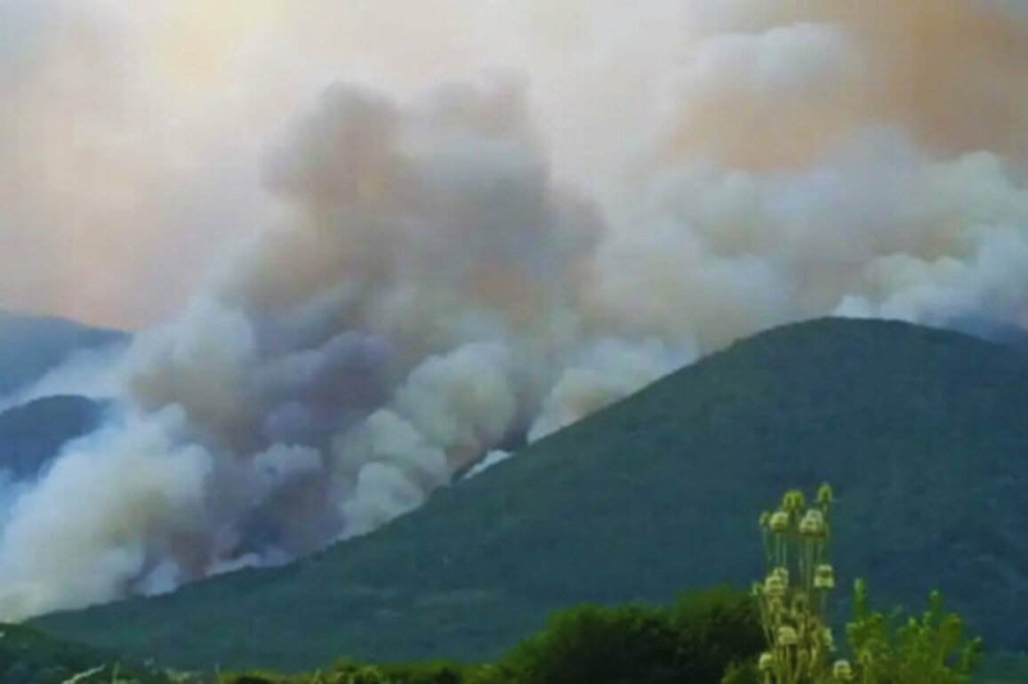 Bulgaria: Rain Offers Hope in Pirin, but Wildfire Still Spreads