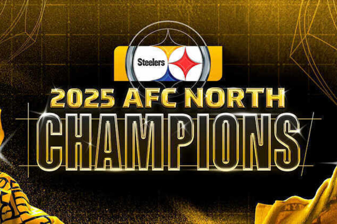 Steelers win the AFC North