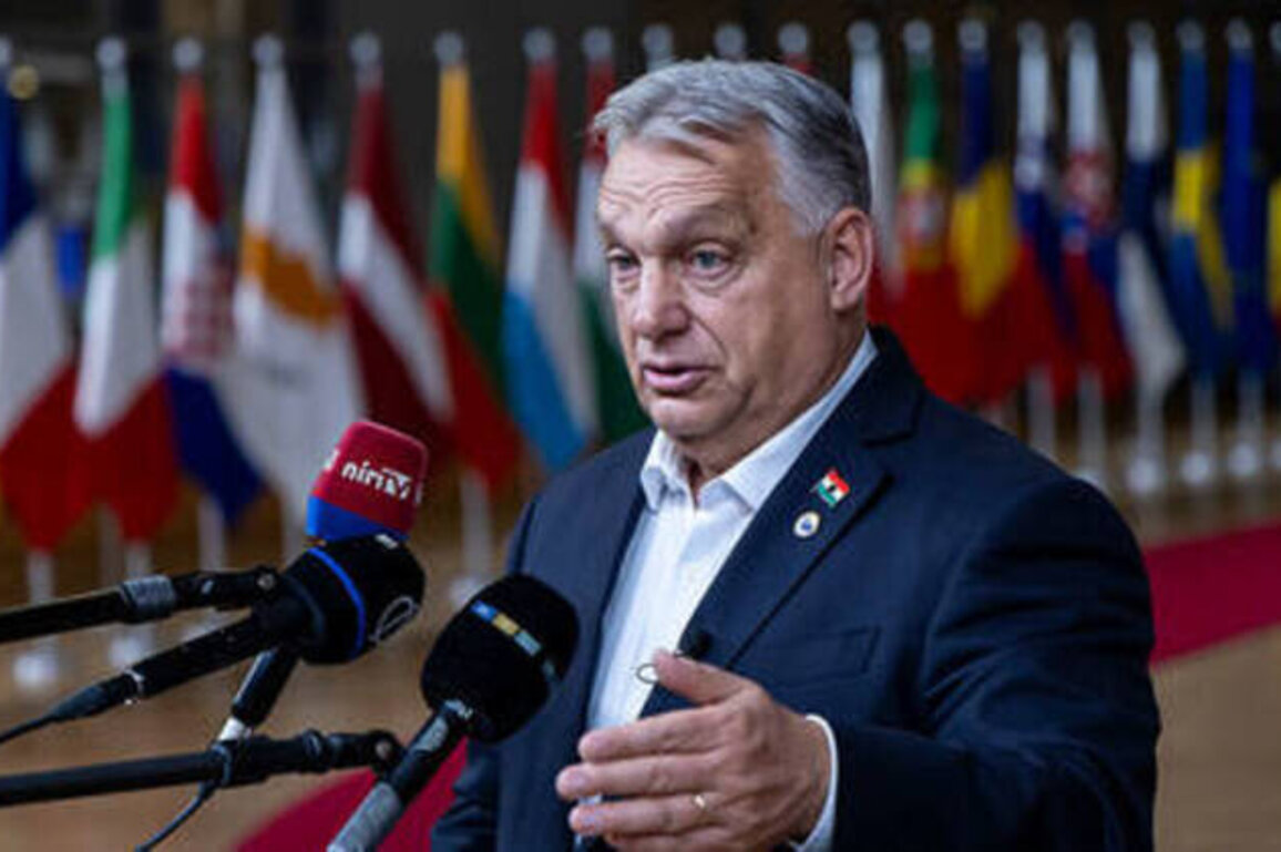 EU needs Russian cash to avoid collapse - Orban