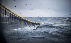 'Deep Decline': Half of UK's top 10 fish stocks critically low or overexploited