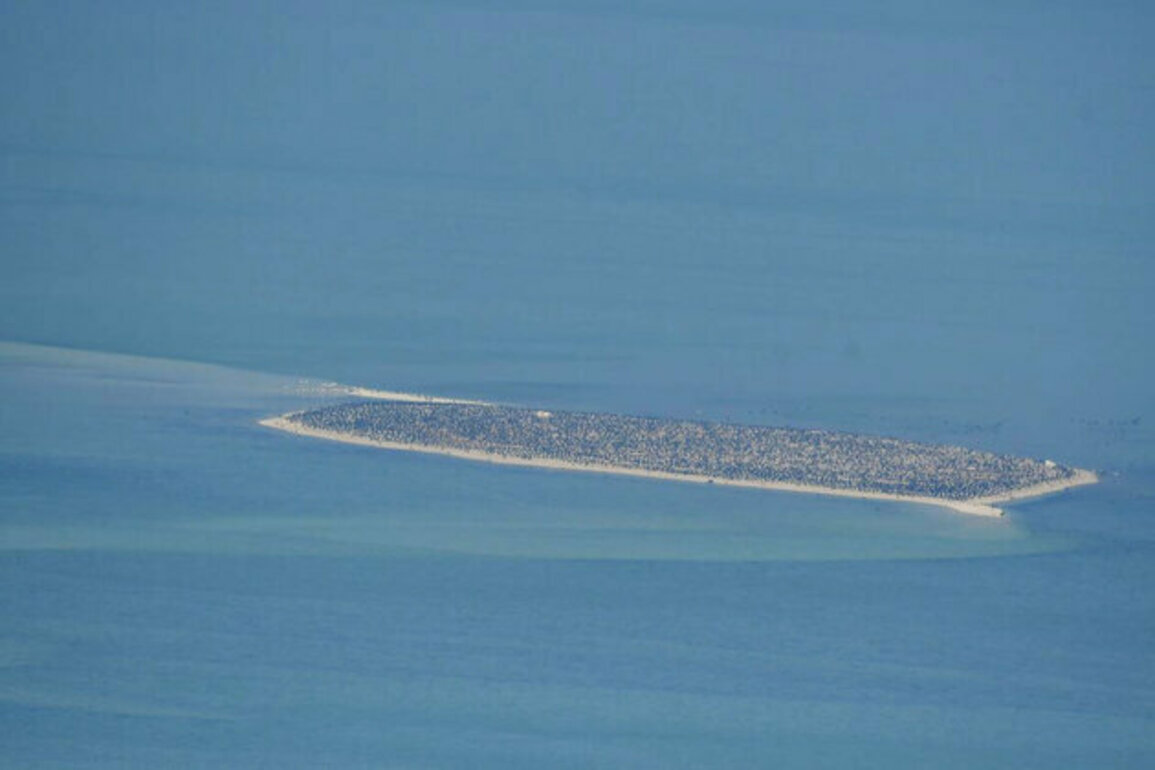 Environment Agency - Abu Dhabi completes aerial survey covering 8,000+ km2 of marine habitat