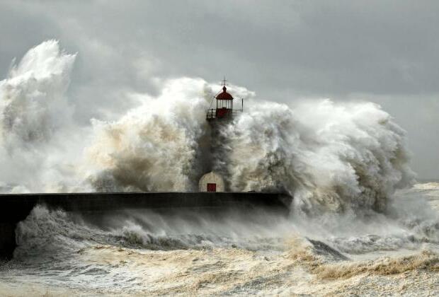 Storm Eowyn 'probably among severest storms' ever in Ireland