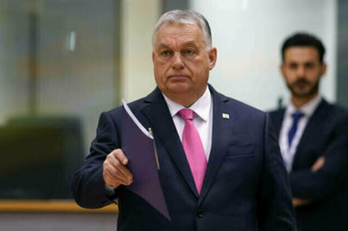 Hungary refuses to support EU call for more military aid to Ukraine