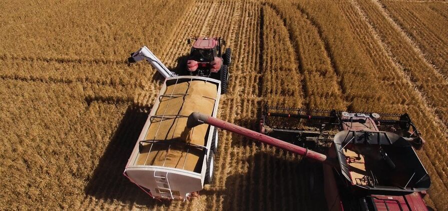 ABARES predicts farm profits will drop significantly in 2026-27. 