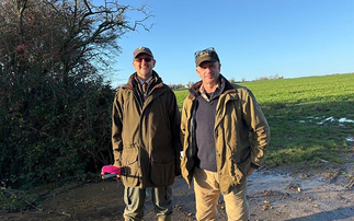 Returning to the roots: A brothers return to the family farm after two decades