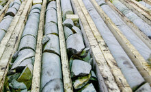 Another success potentially in the making for Turaco Gold